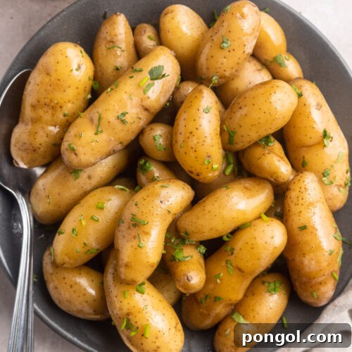 Overhead, top-down photo of sous vide fingerling potatoes in a shallow grey bowl. The brown potatoes are a little shiny and peppered with green herbs.