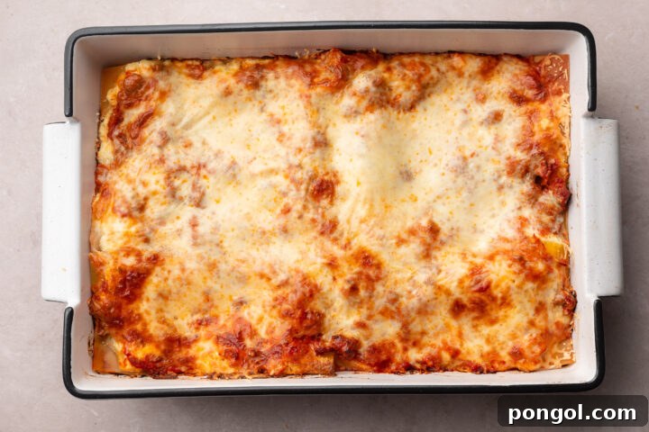 Irresistible Gluten-Free Lasagna 10 Fully baked gluten-free lasagna with melted, bubbly mozzarella cheese and red marinara sauce.