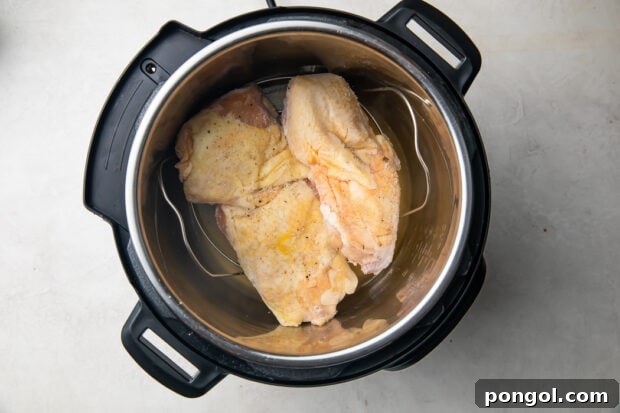 Uncooked chicken thighs in an Instant Pot