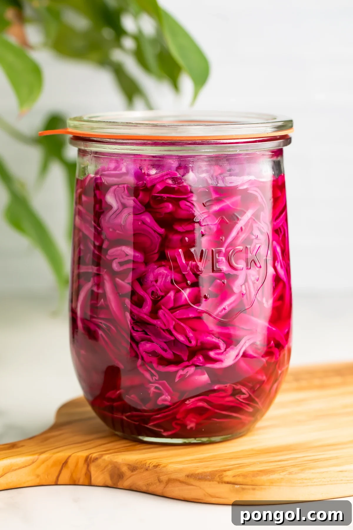 Side view of freshly made pickled red cabbage in a glass mason jar, glistening and vibrant, sitting on a rustic wooden cutting board, ready to be enjoyed.