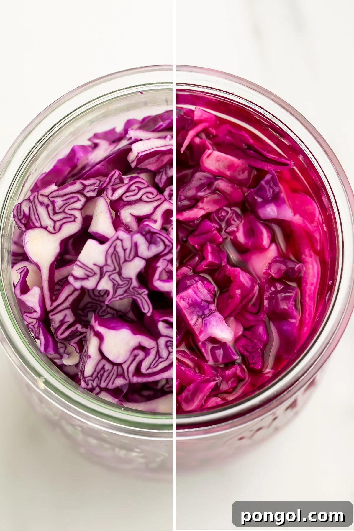 Top-down view contrasting red cabbage slices before and after pickling, showcasing the transformation in color and texture in two mason jars.