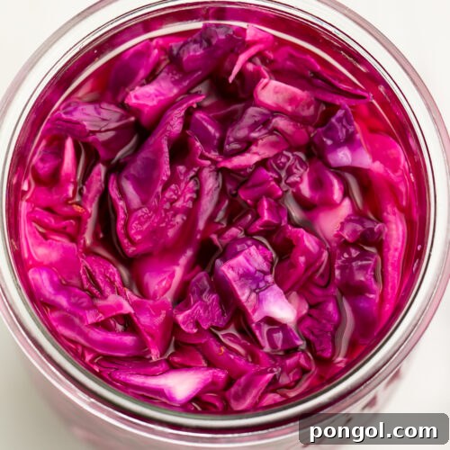 Top down view of pickled red cabbage in a large glass jar.