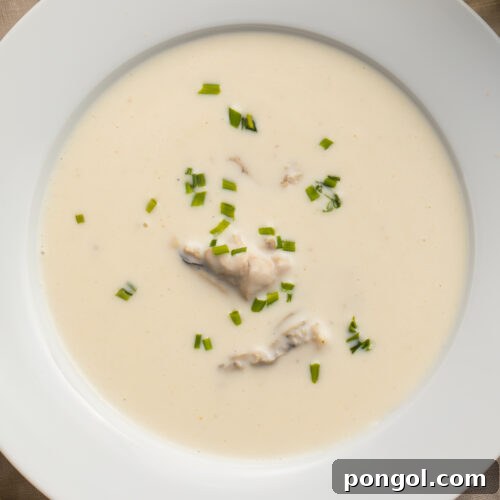 Close-up look at a soup bowl filled with pale, creamy oyster brie soup. Chunks of oyster rest in the center of the soup, and the top is dotted with fresh chives.