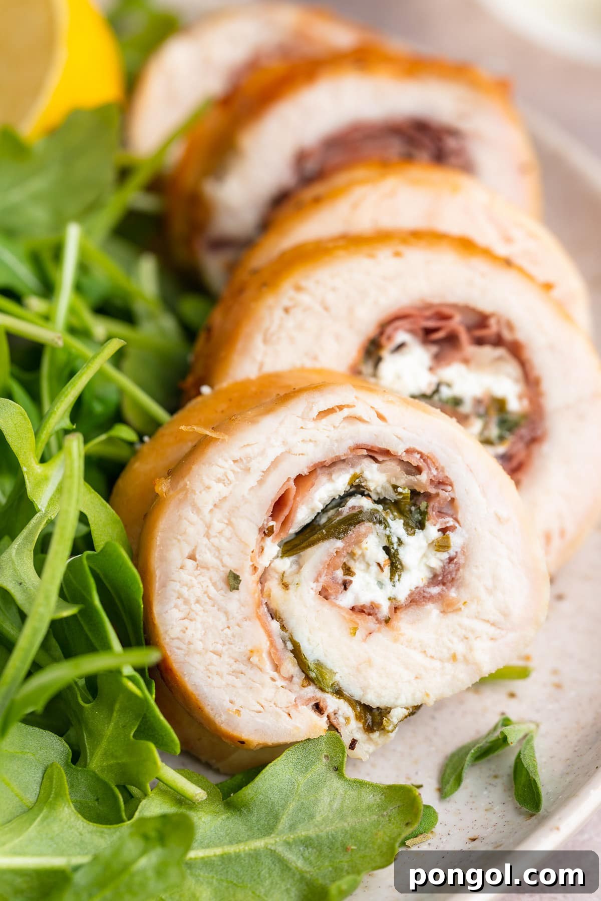 Chicken roulade sliced and plated with a small salad.